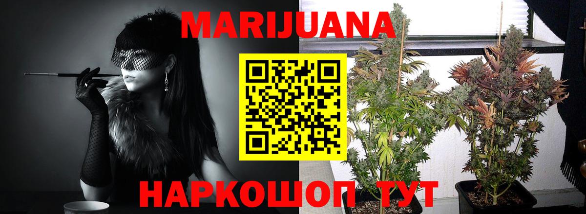 Канабис тримм  Вход с VPN  Канабис гибрид  Каннабис Amnesia  Конопля сатива  Гуково 